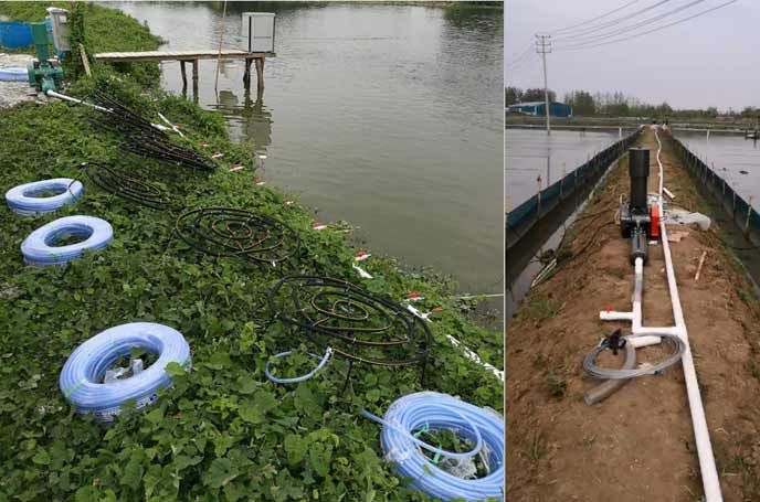 水產養殖羅茨鼓風機