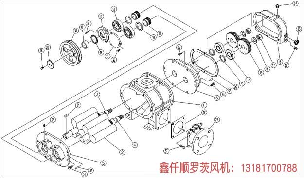 三葉羅茨鼓風機安裝示意圖